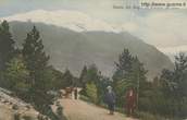 1923-08-10 Pineta dei Bagni di Bormio_trinc-00359A-AV2banu.jpg